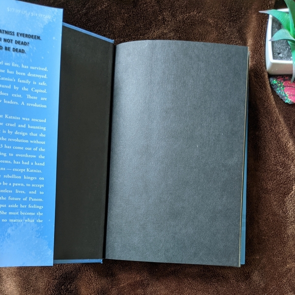 Mockingjay by Suzanne Collins - Picture 5 of 5